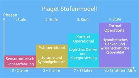 piaget kognitive entwicklung und geschlecht.